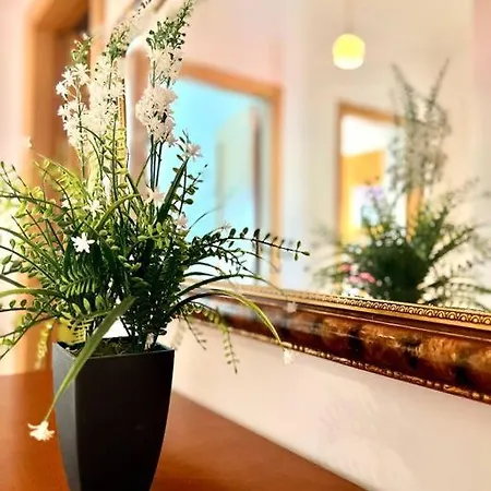 T2 Avec Vue Panoramique Sur La Cote 公寓